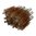 Brosse pour canon en bronze DOUBLE-TUFF 16 GAUGE - pack de 12